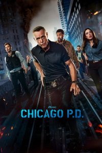 Chicago P.D. Season 1-13 (2025) หน่วยปราบท้ามัจจุราช ซีซั่น 1-13