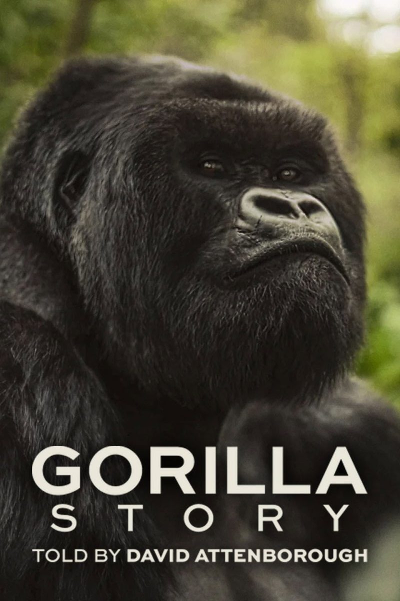 A Gorilla Story: Told by David Attenborough (2026) เล่าเรื่องกอริลลา โดยเดวิด แอทเทนเบอเรอห์
